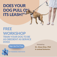 K9 Training Institute